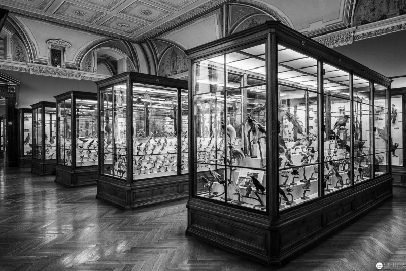 Architekturfotografie im Naturhistorischen Museum