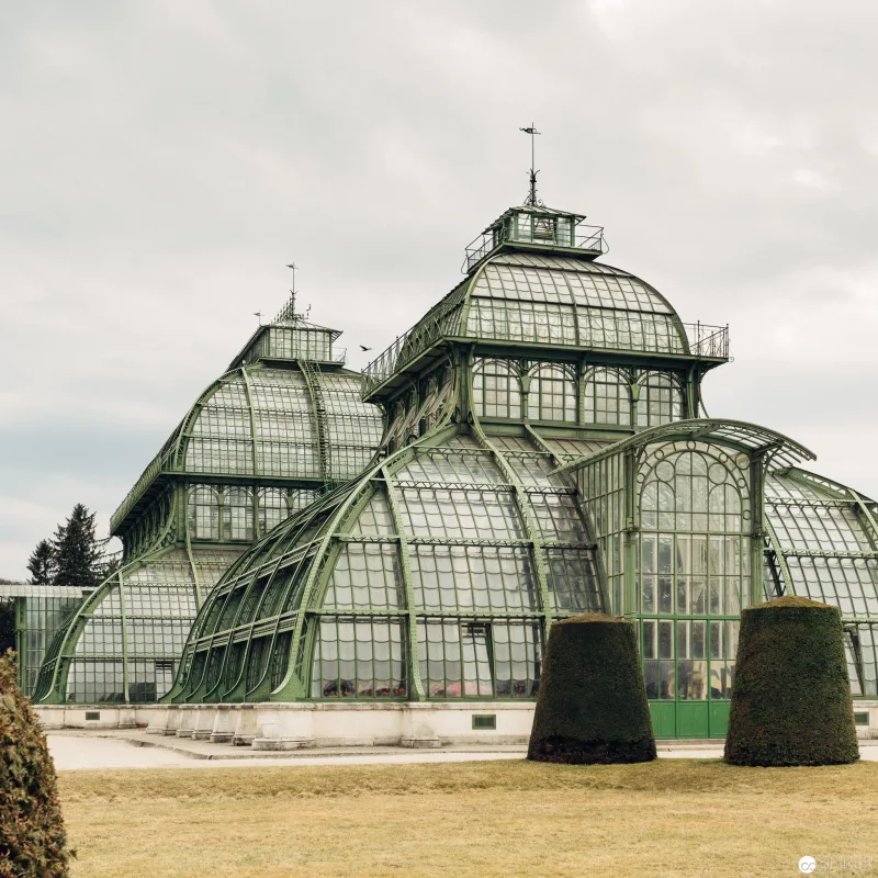 Wie man im Palmenhaus Schönbrunn ohne Makroobjektiv fotografiert