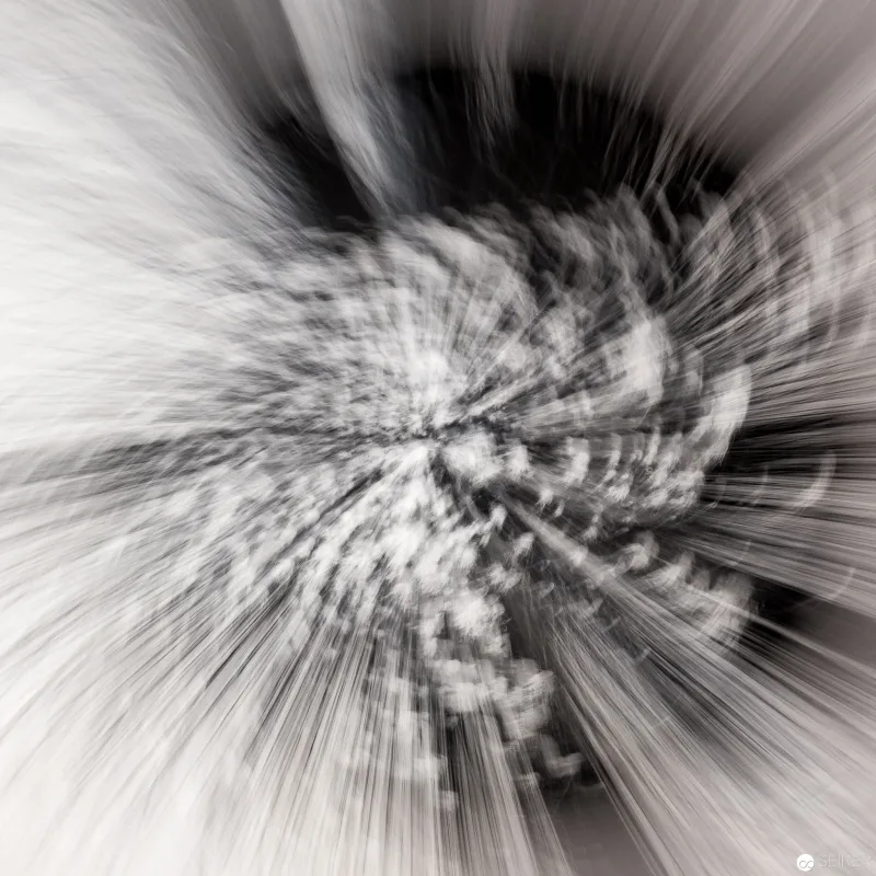 Alfons Schilling mit "Beyond Photography" im WestLicht - Ausstellung