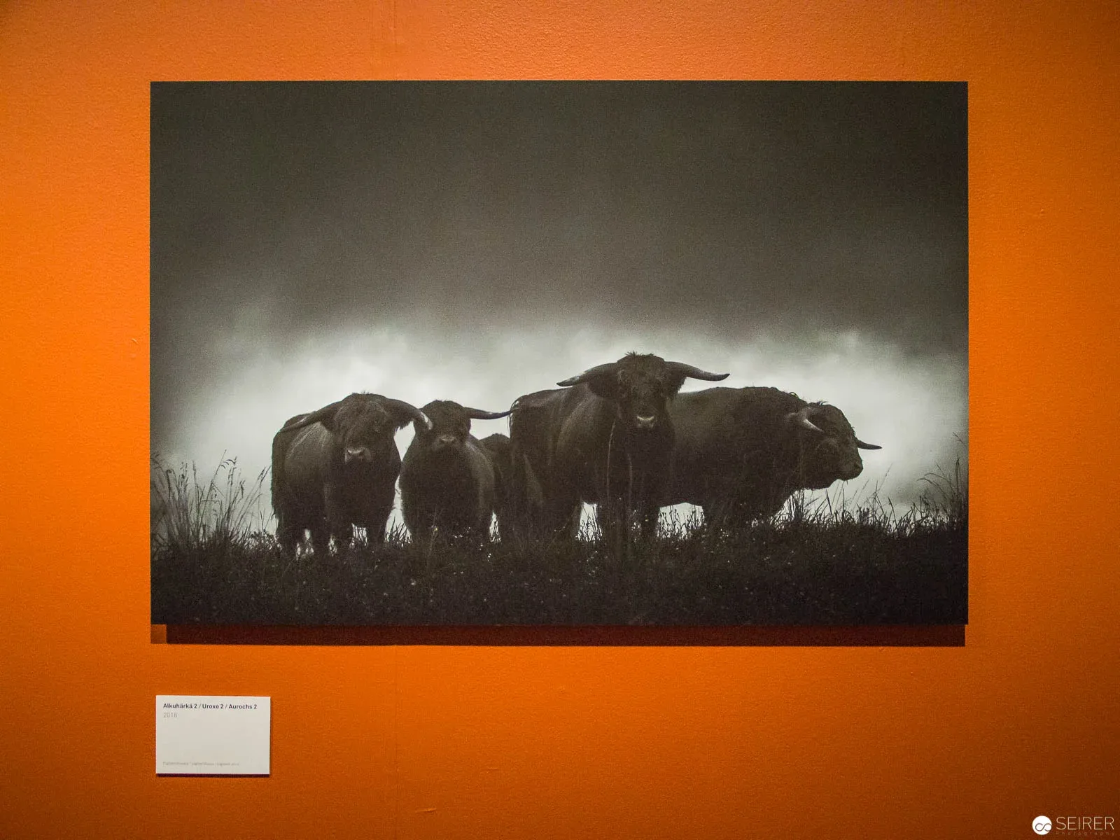 Heikki Willamo - The Mythical Journey - Finnish Museum of Photography