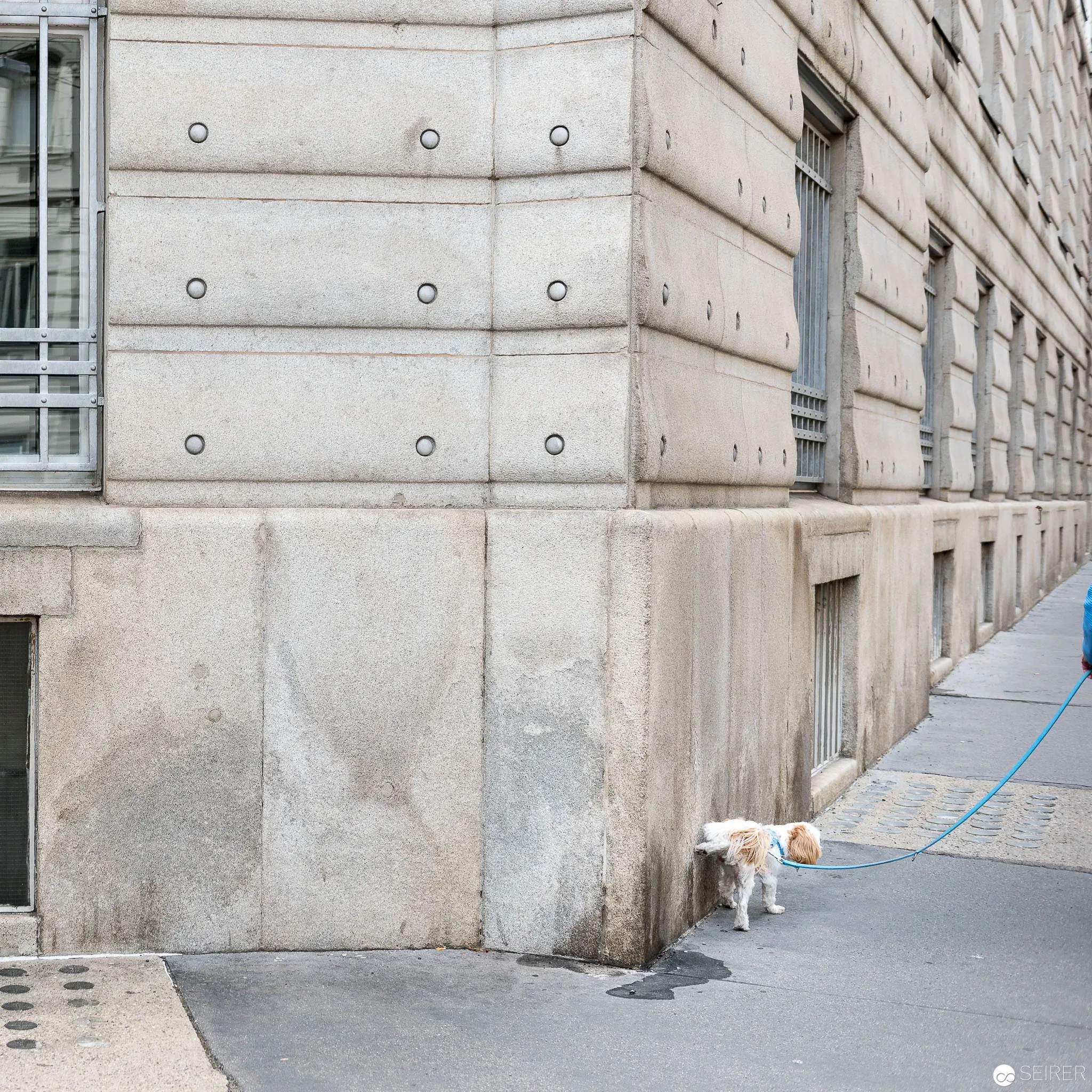 Architecture in Use - Postsparkasse Wien