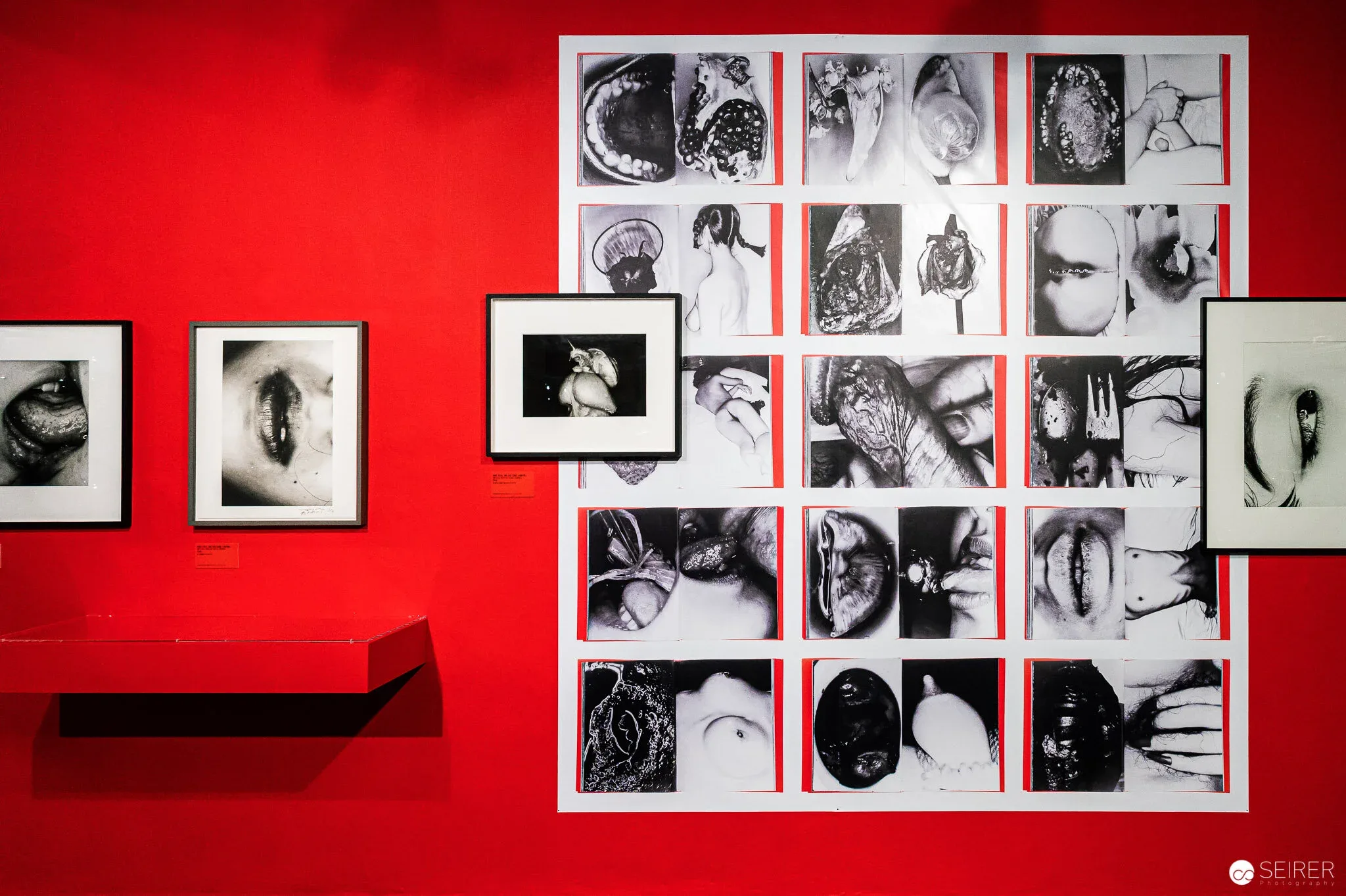 Arakiss - Ausstellung von Nobuyoshi Araki im Westlicht 2021