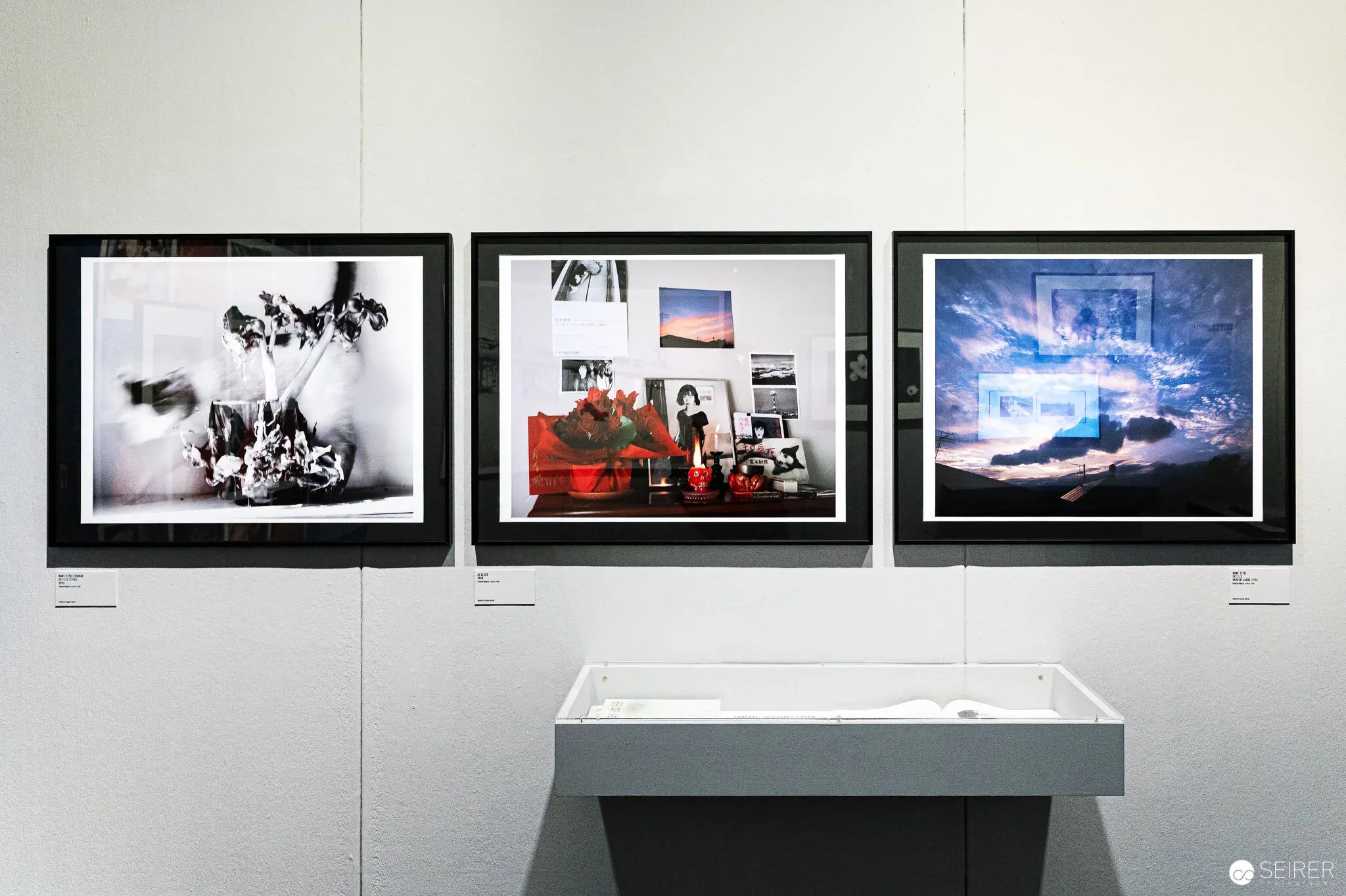 Arakiss - Ausstellung von Nobuyoshi Araki im Westlicht 2021