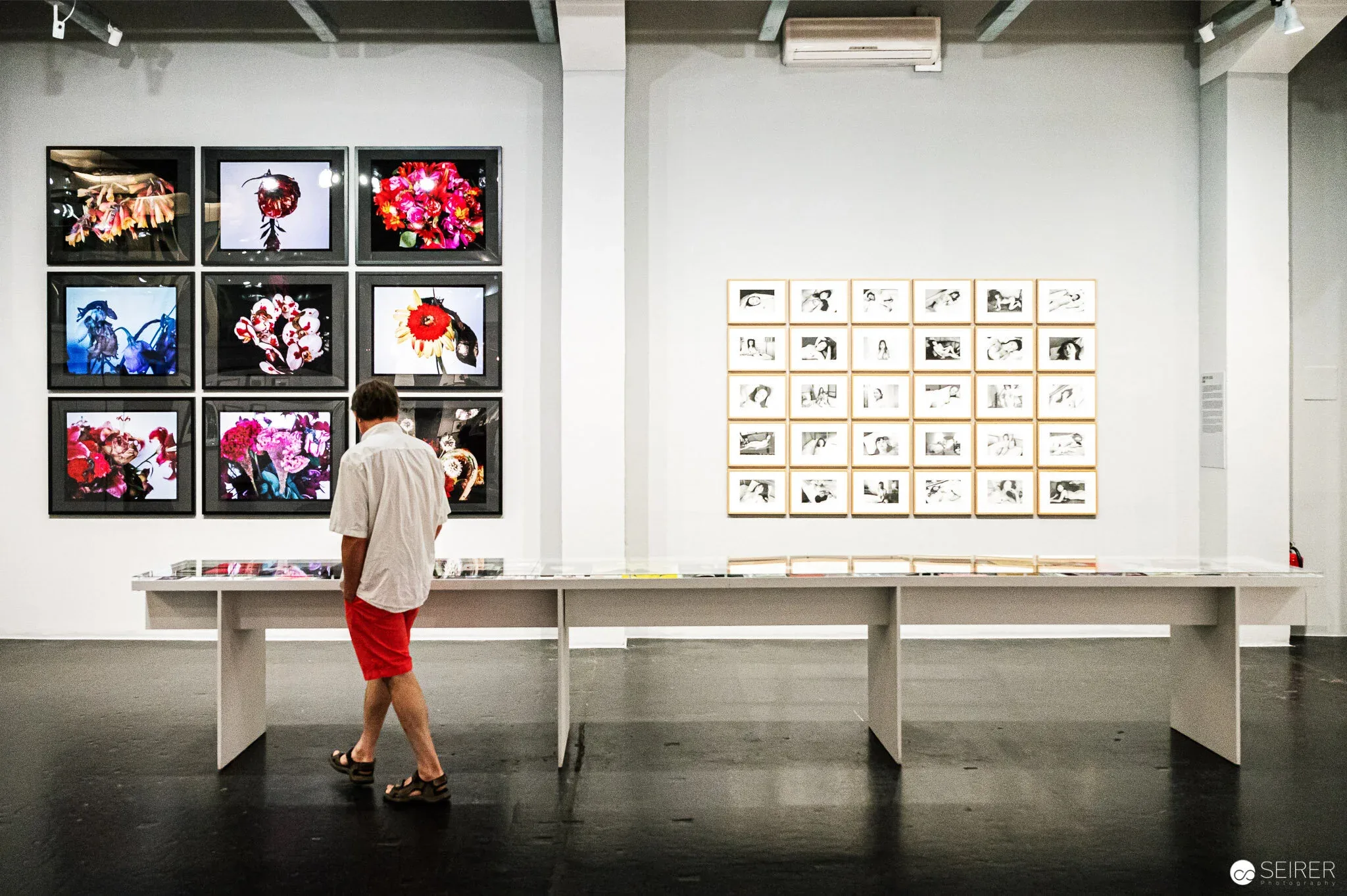 Arakiss - Ausstellung von Nobuyoshi Araki im Westlicht 2021