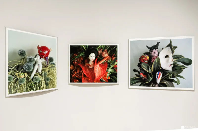 Arakiss - Fotografien von Araki als Doppelausstellung im Westlicht und Ostlicht