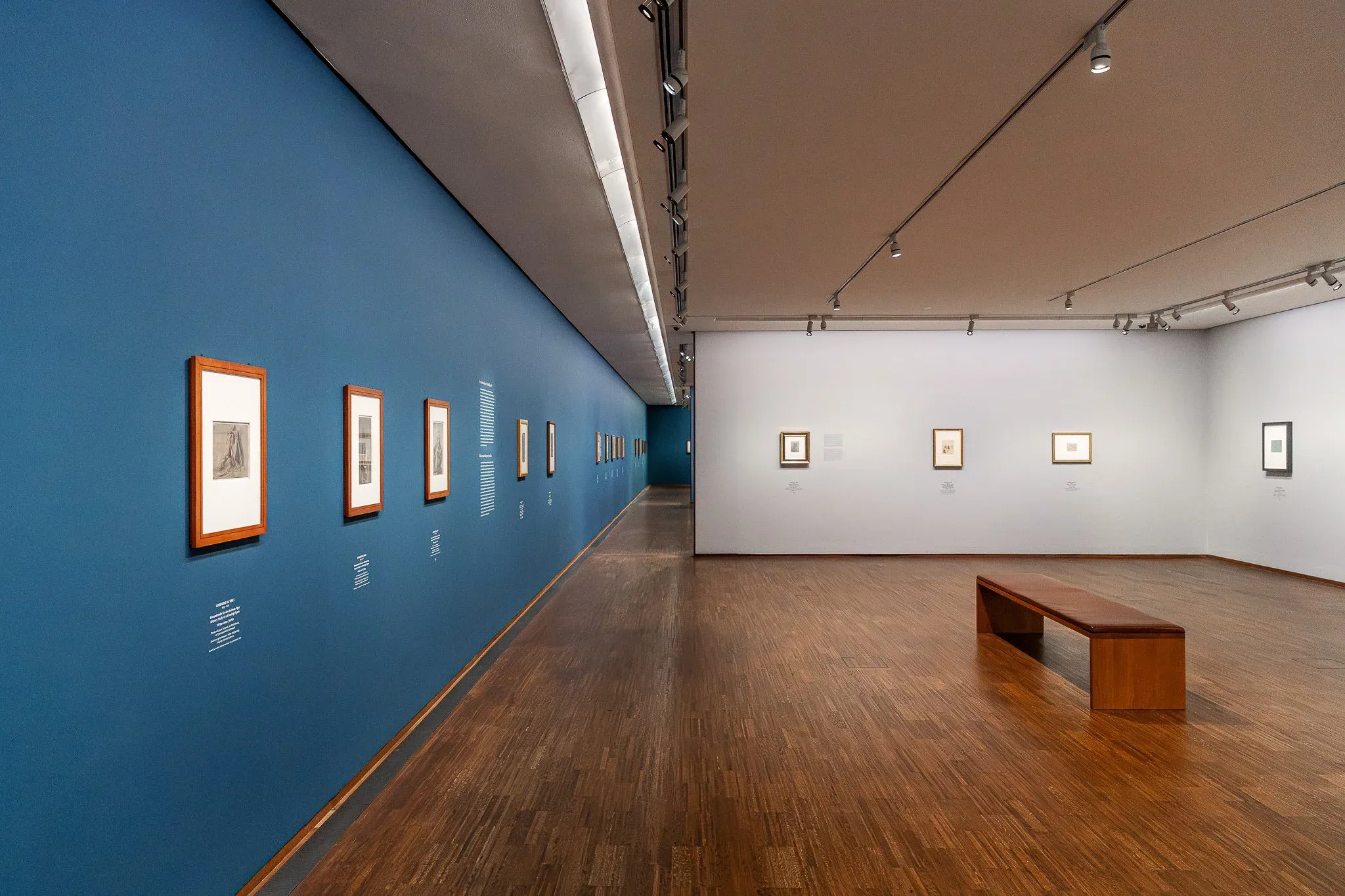 Exhibition Views "Leonardo – Dürer" at Albertina, 2025