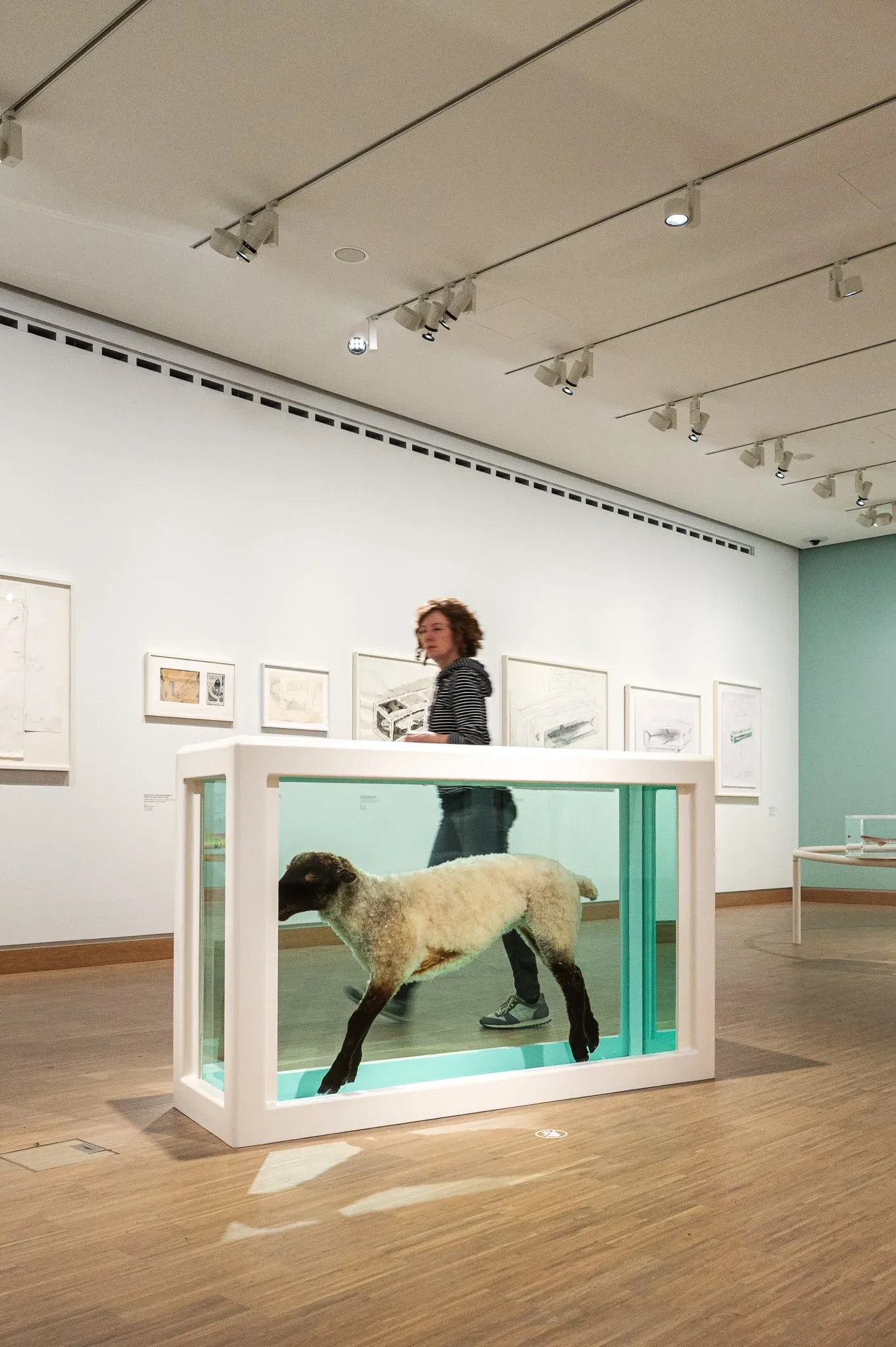 Exhibition view “Damien Hirst - Drawings”, Albertina Modern, 2025