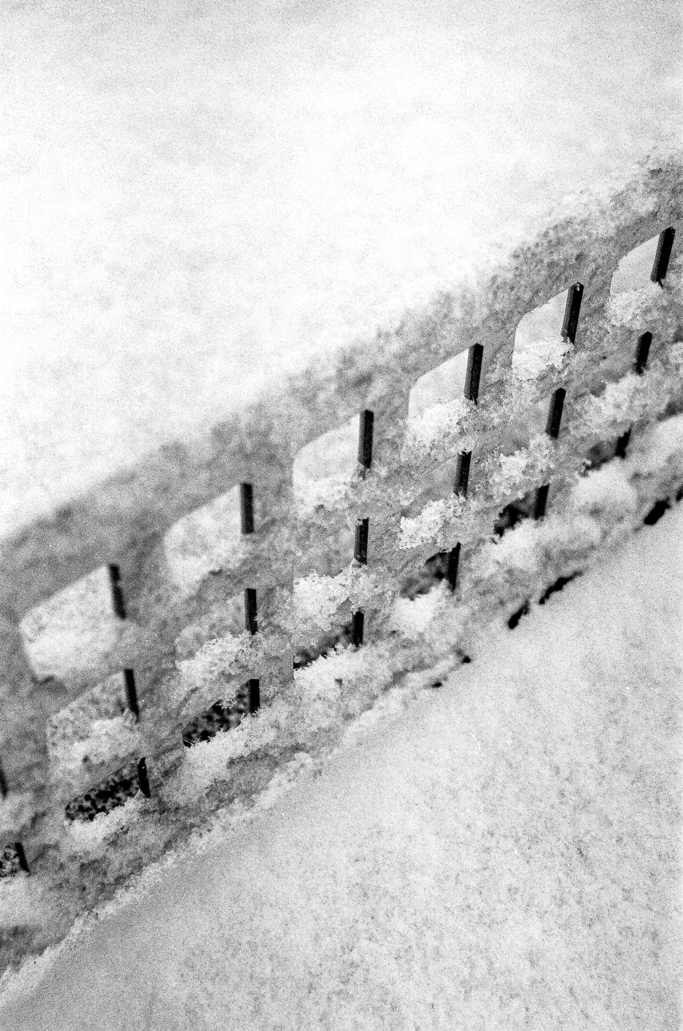 Fence grid covered in fresh snow, black-and-white film, January 2026