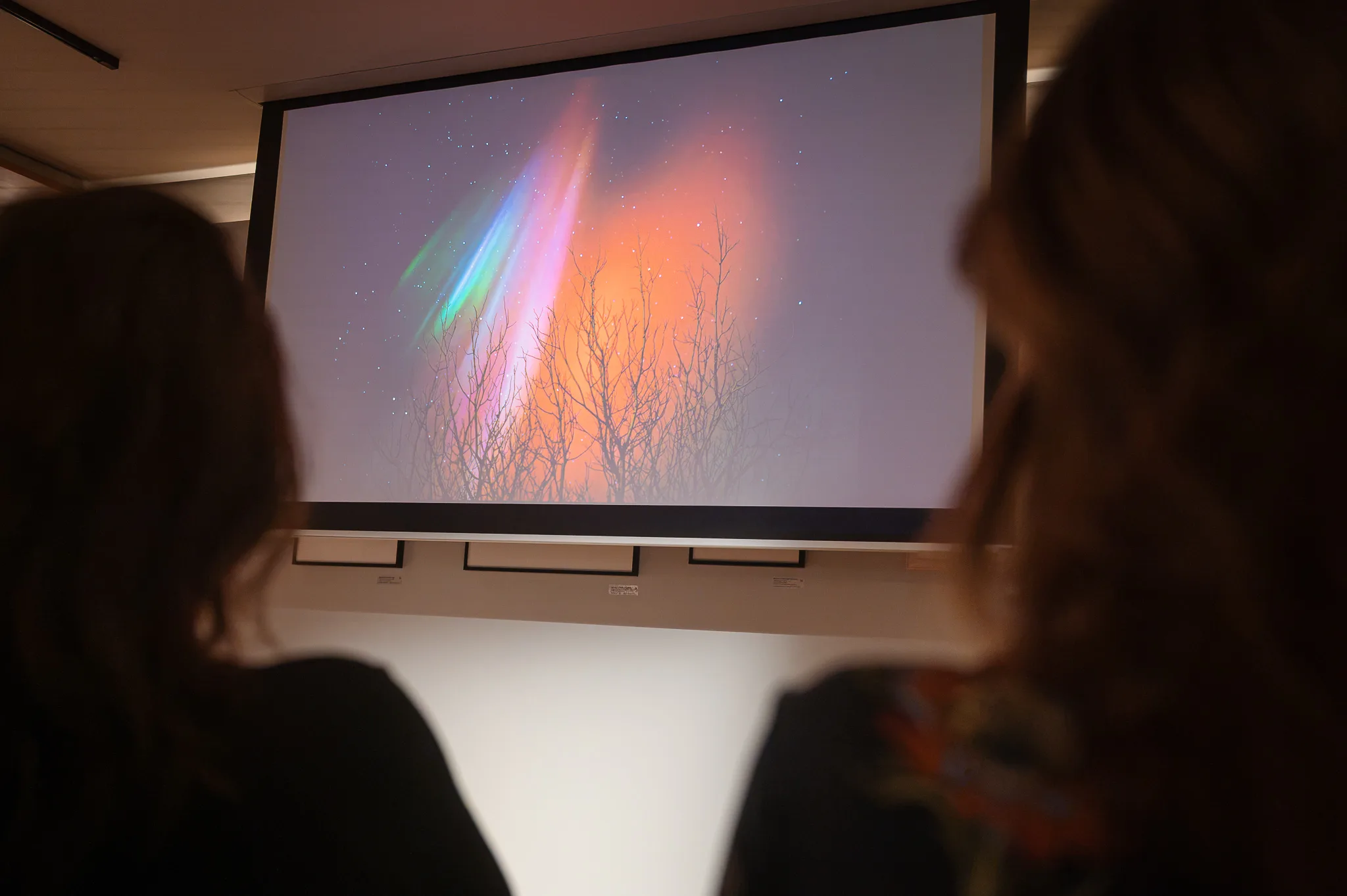 Visitors watching one of Cig Harvey's colour pictures, bare trees under a streak of prismatic light, Leica Gallery Vienna, September 2026