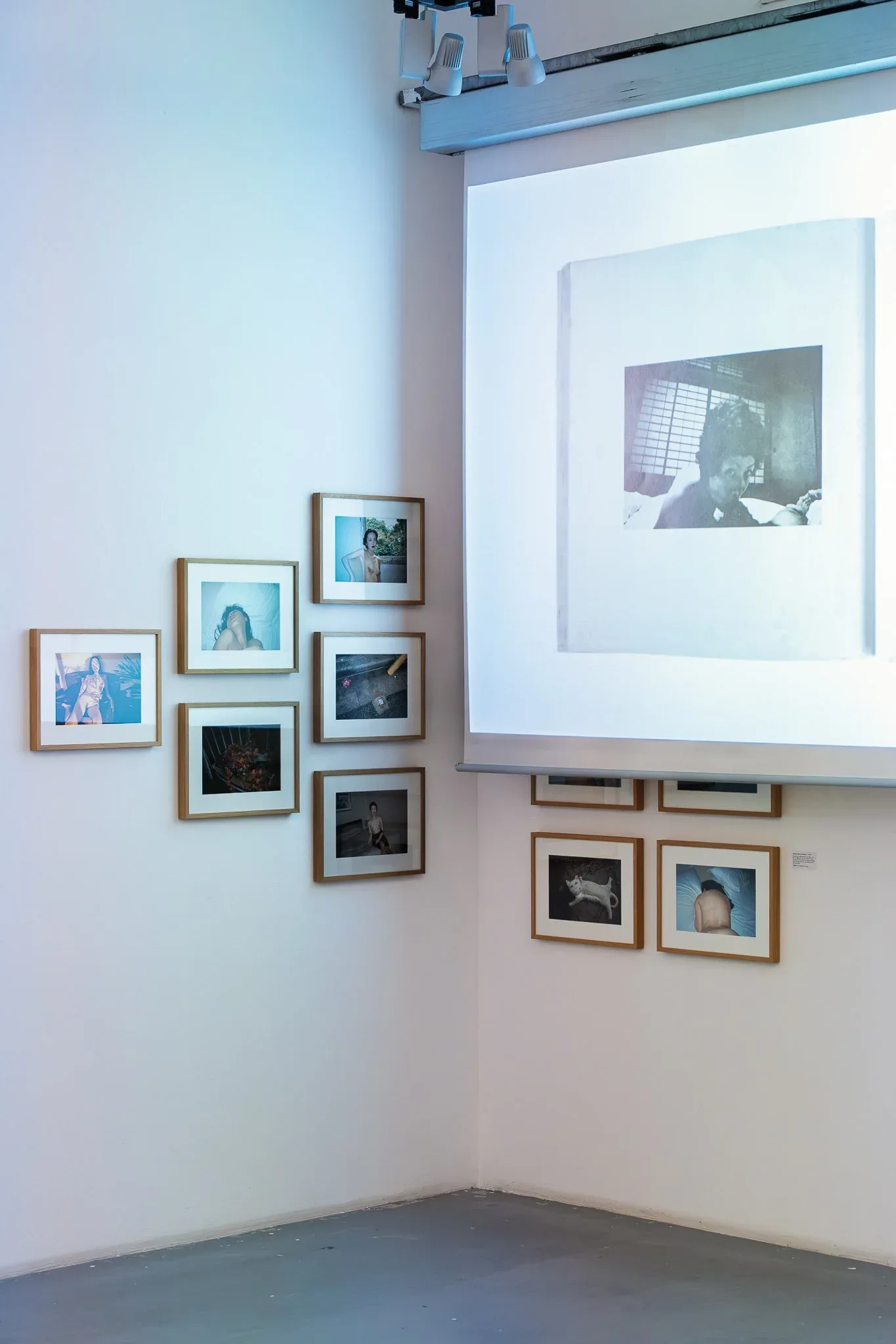 Exhibition View Nobuyoshi Araki at Ostlicht, 2025