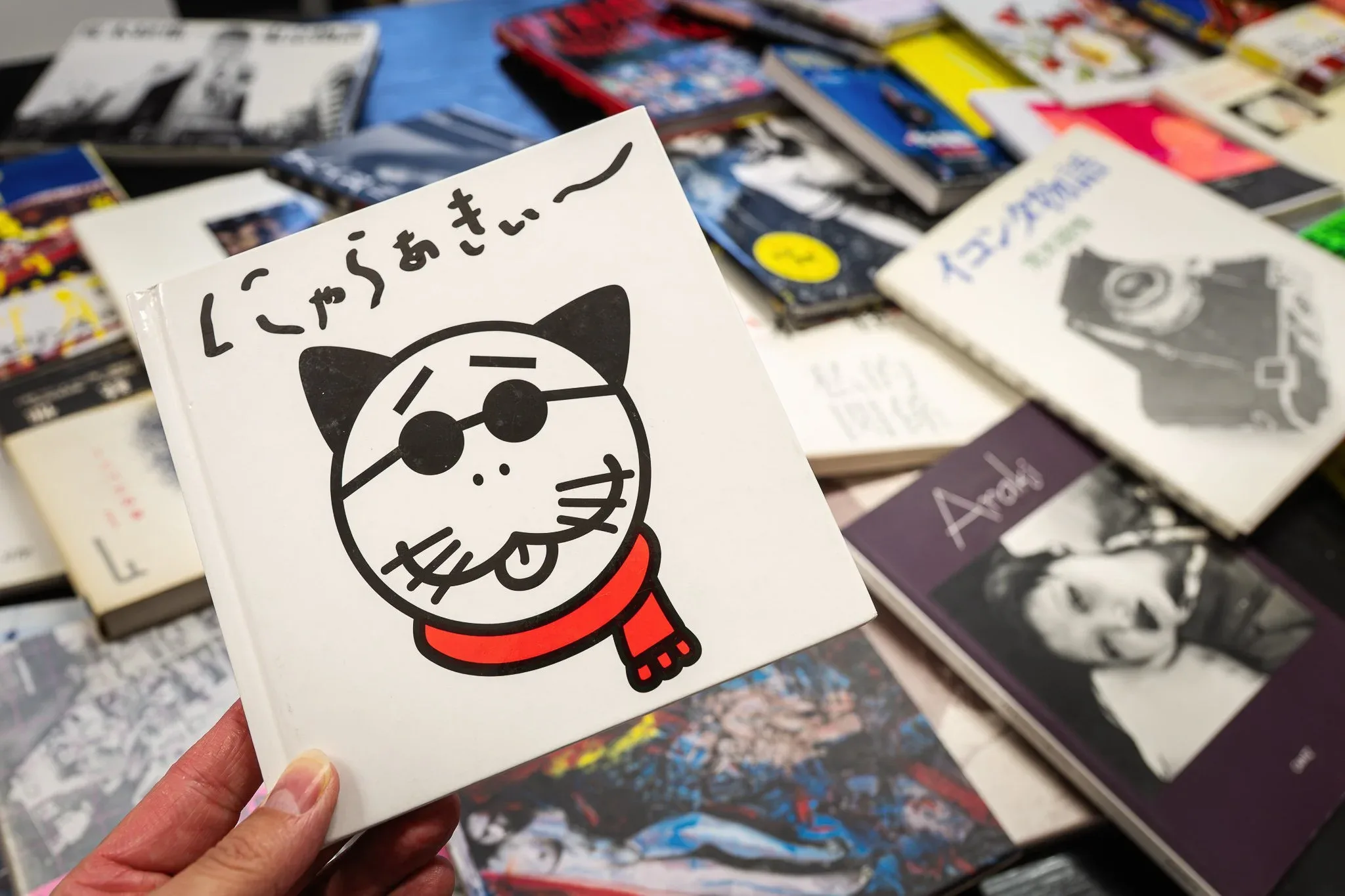 Nobuyoshi Araki made over 500 photo books and a considerable amount was collected by Michael Kollmann, Ostlicht