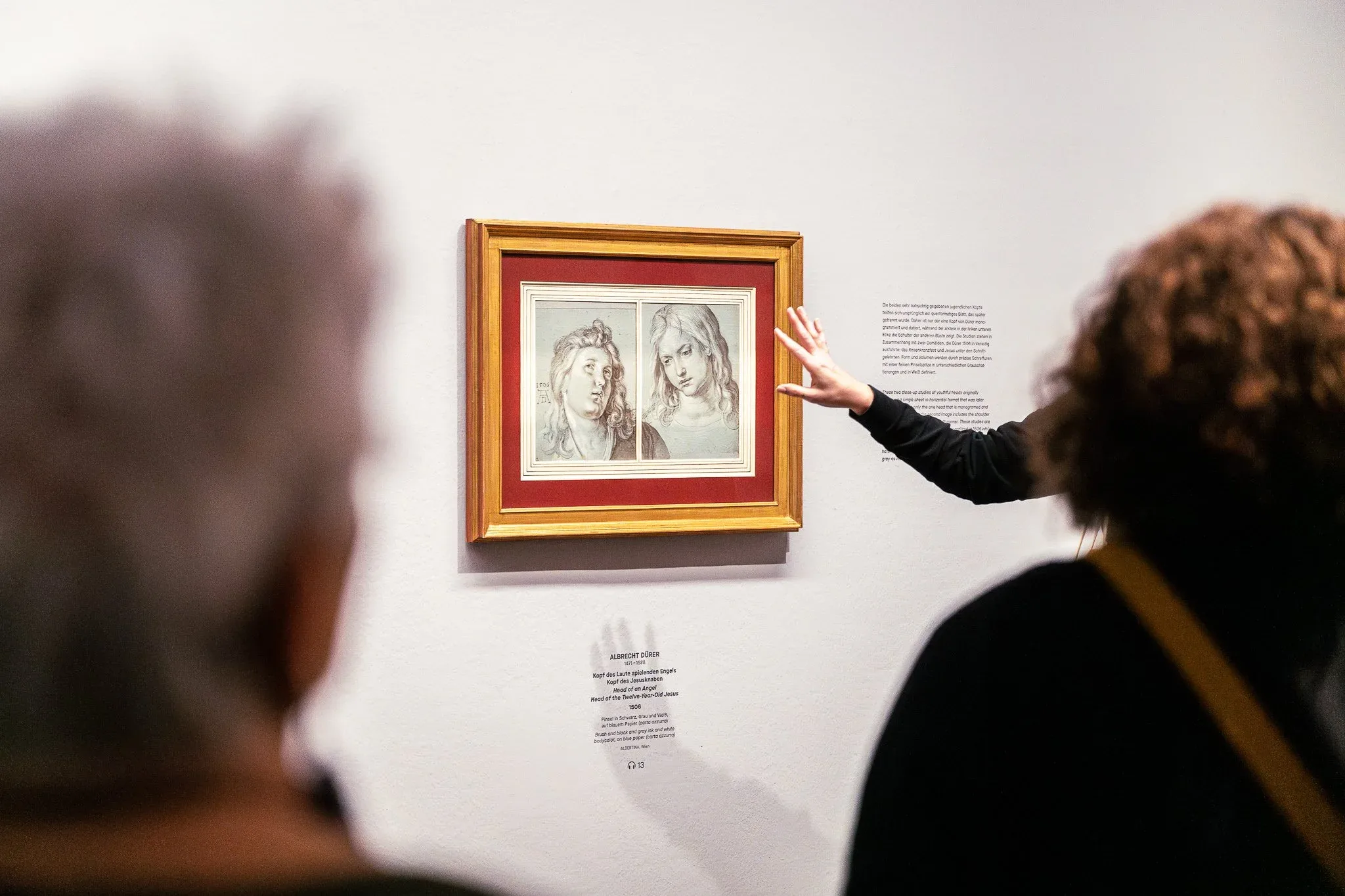 Dürer vs. Leonardo: Who Drew It Better? (Spoiler: They Both Did)