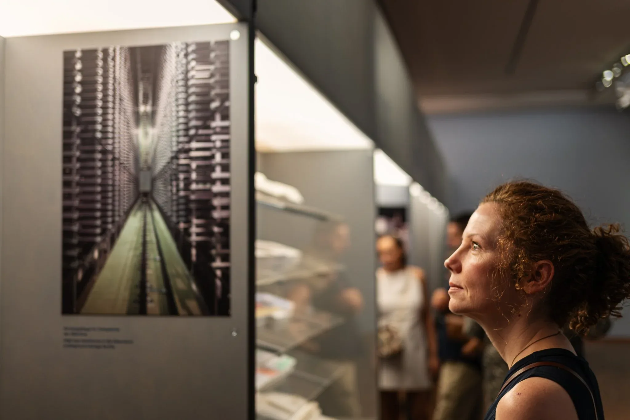 The history of the Building the the Collection. The Albertinas 250th Anniversary Exhibition, 2026