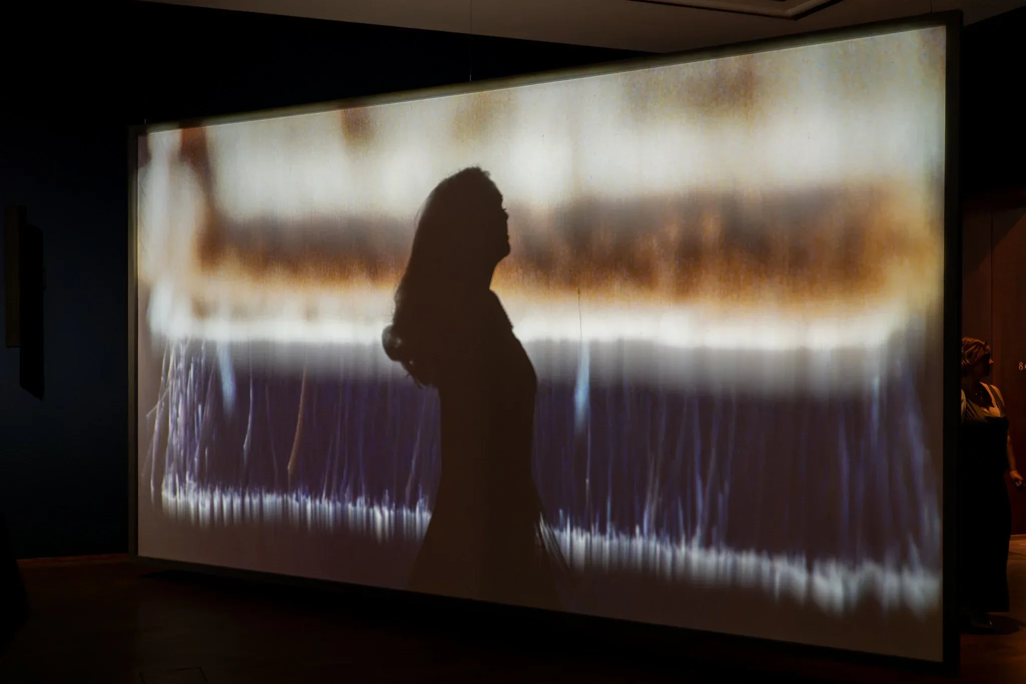 Private Metaphysics by Rosa Barbara. The Albertinas 250th Anniversary Exhibition, 2026