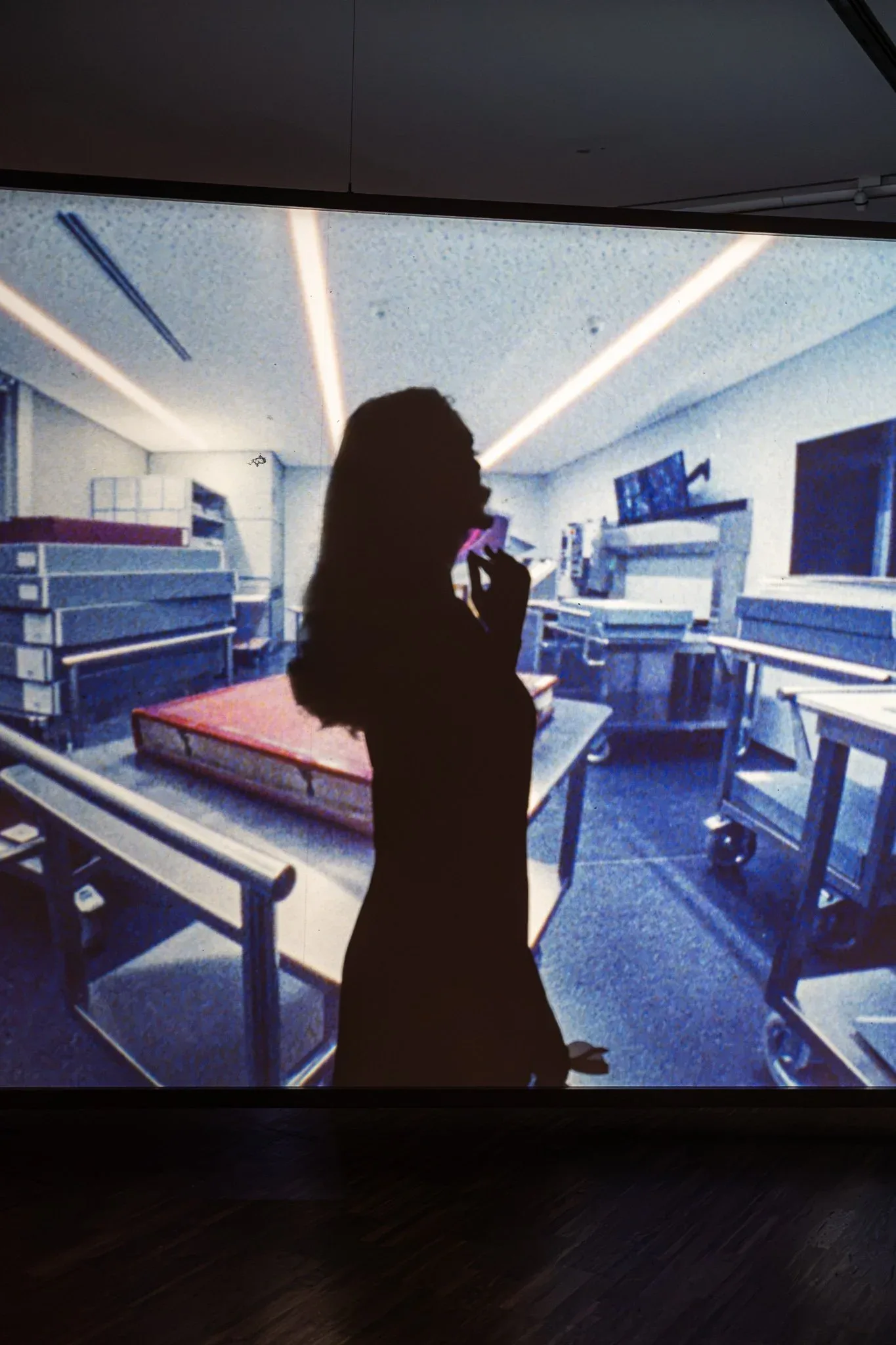 Private Metaphysics by Rosa Barbara. The Albertinas 250th Anniversary Exhibition, 2026