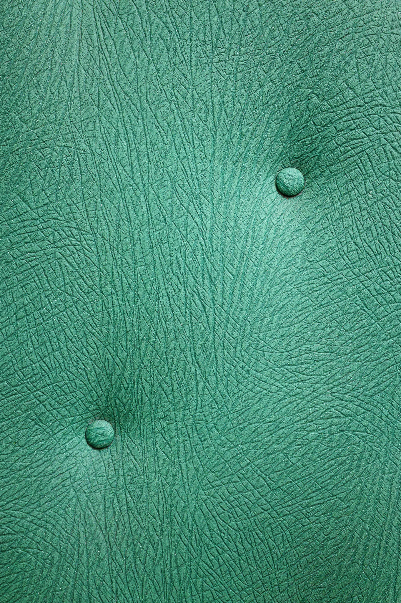 Green padded door, detail, Bruno Kreisky Archive, Vienna, 2026