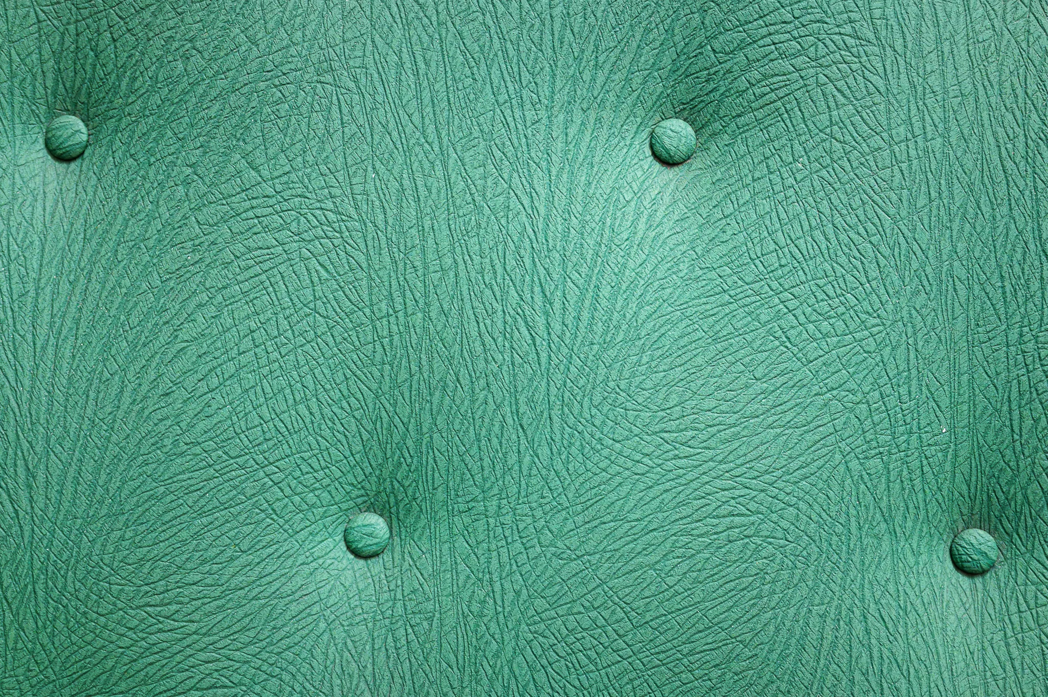 Green padded door with buttons, detail, Bruno Kreisky Archive, Vienna, 2026