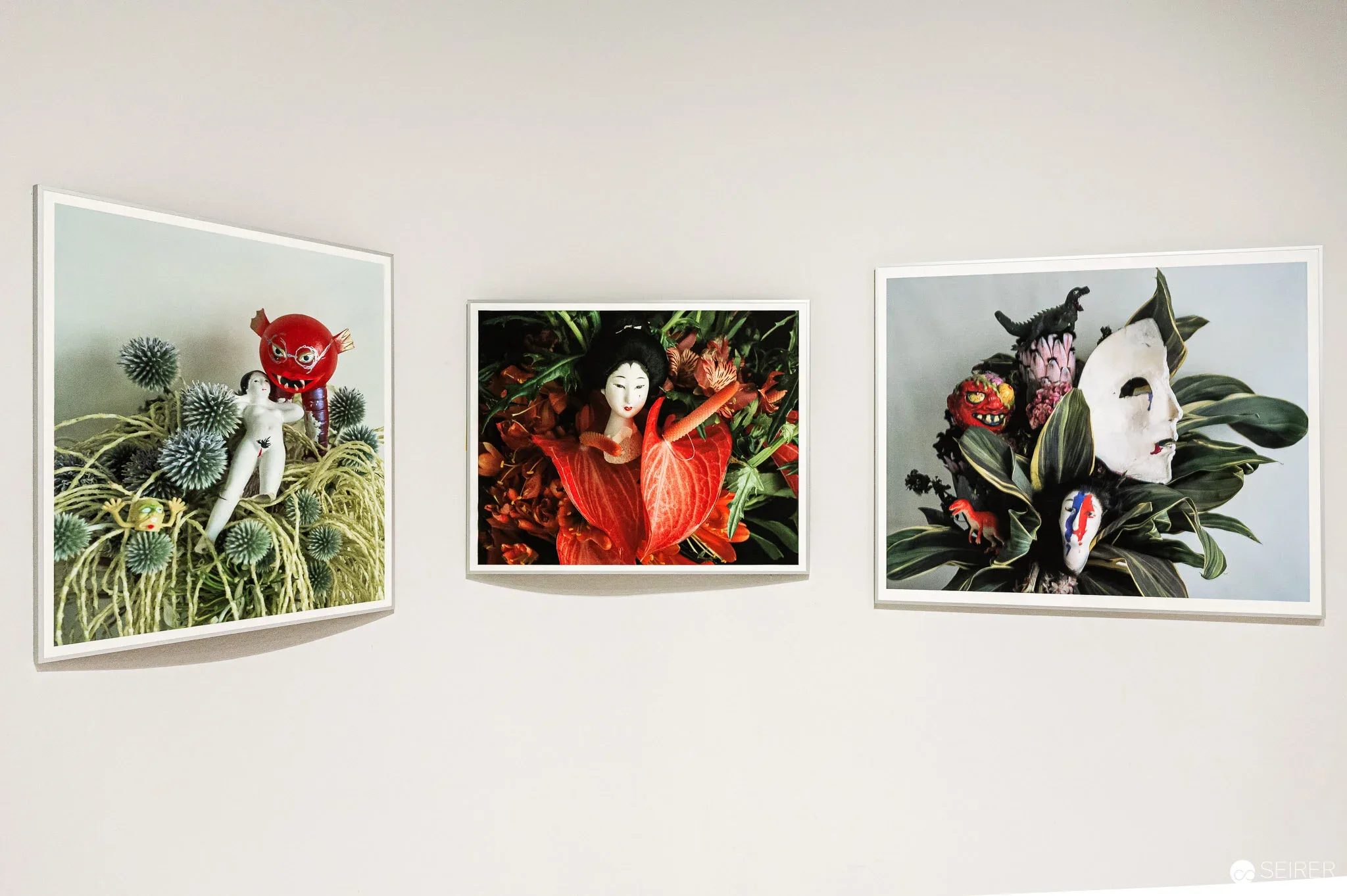 Arakiss - Fotografien von Araki als Doppelausstellung im Westlicht und Ostlicht