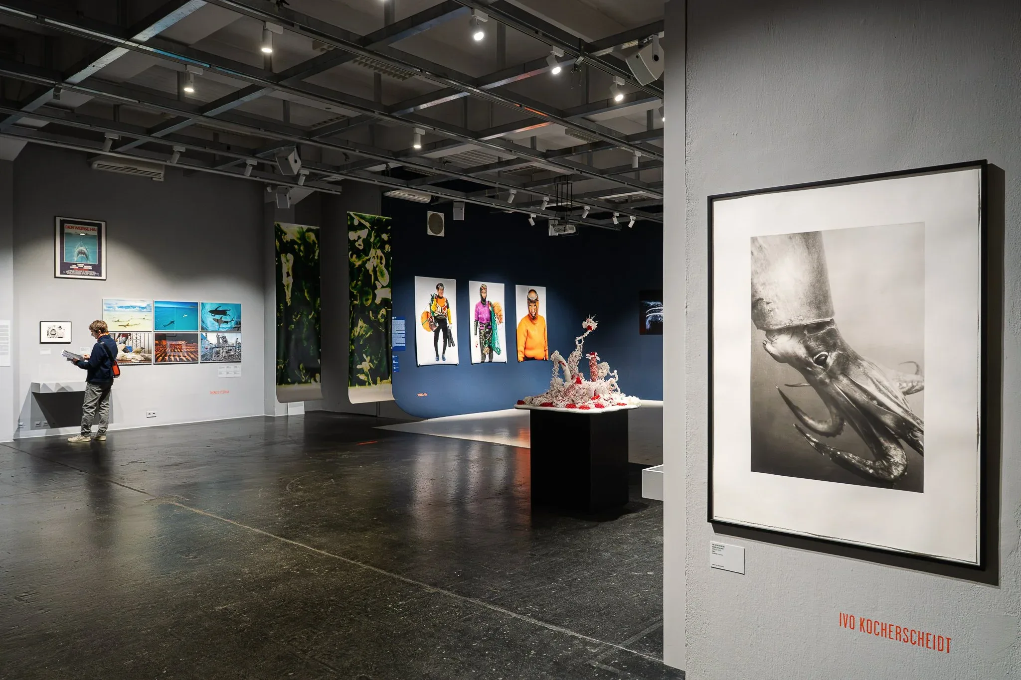 Exhibition view "Under Water" at Westlicht 2026