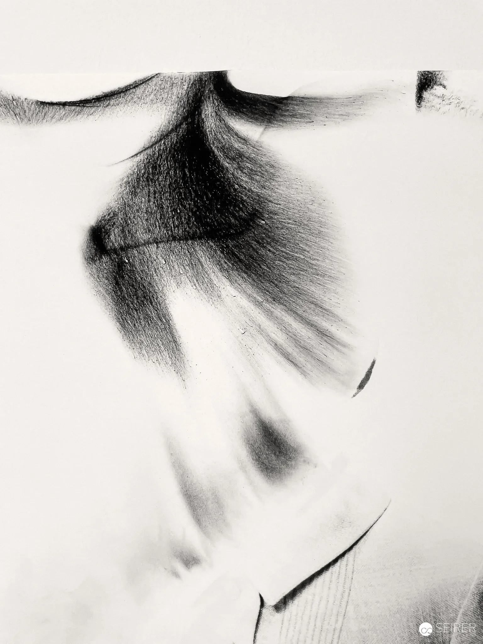 Exhibition view Sebastian Riemer at Francisco Carolinum: some Secrets on Photography